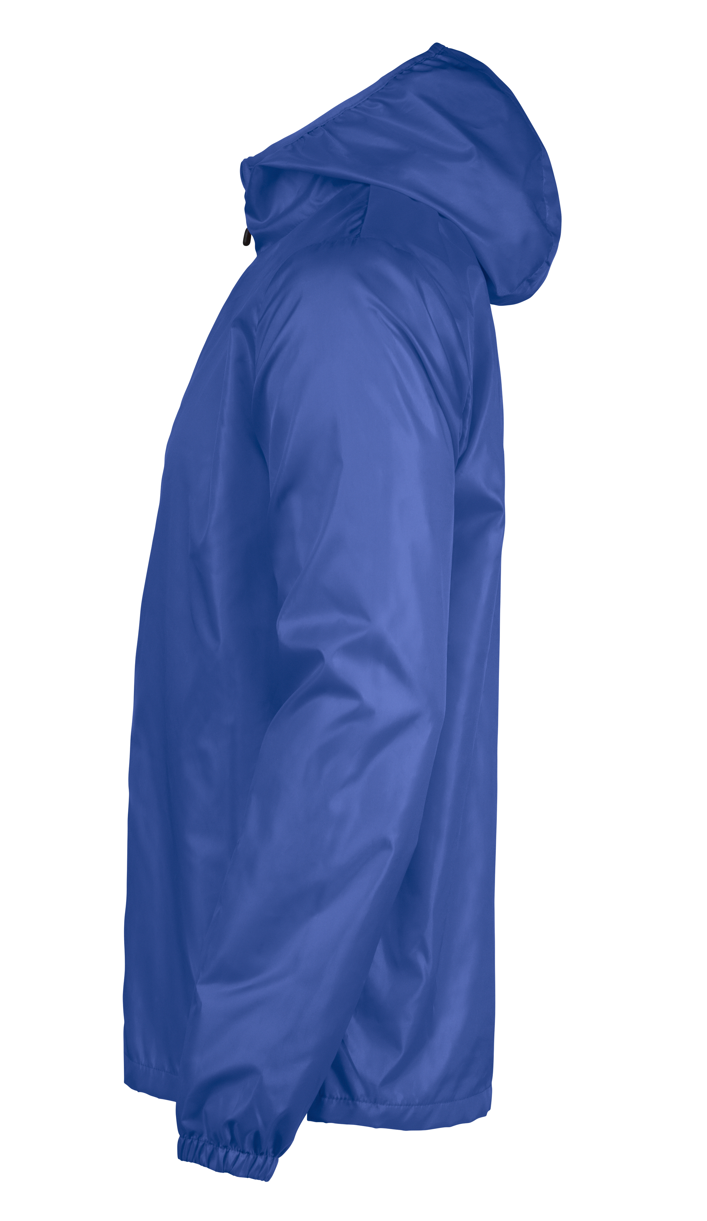 Fastplant - Image 8