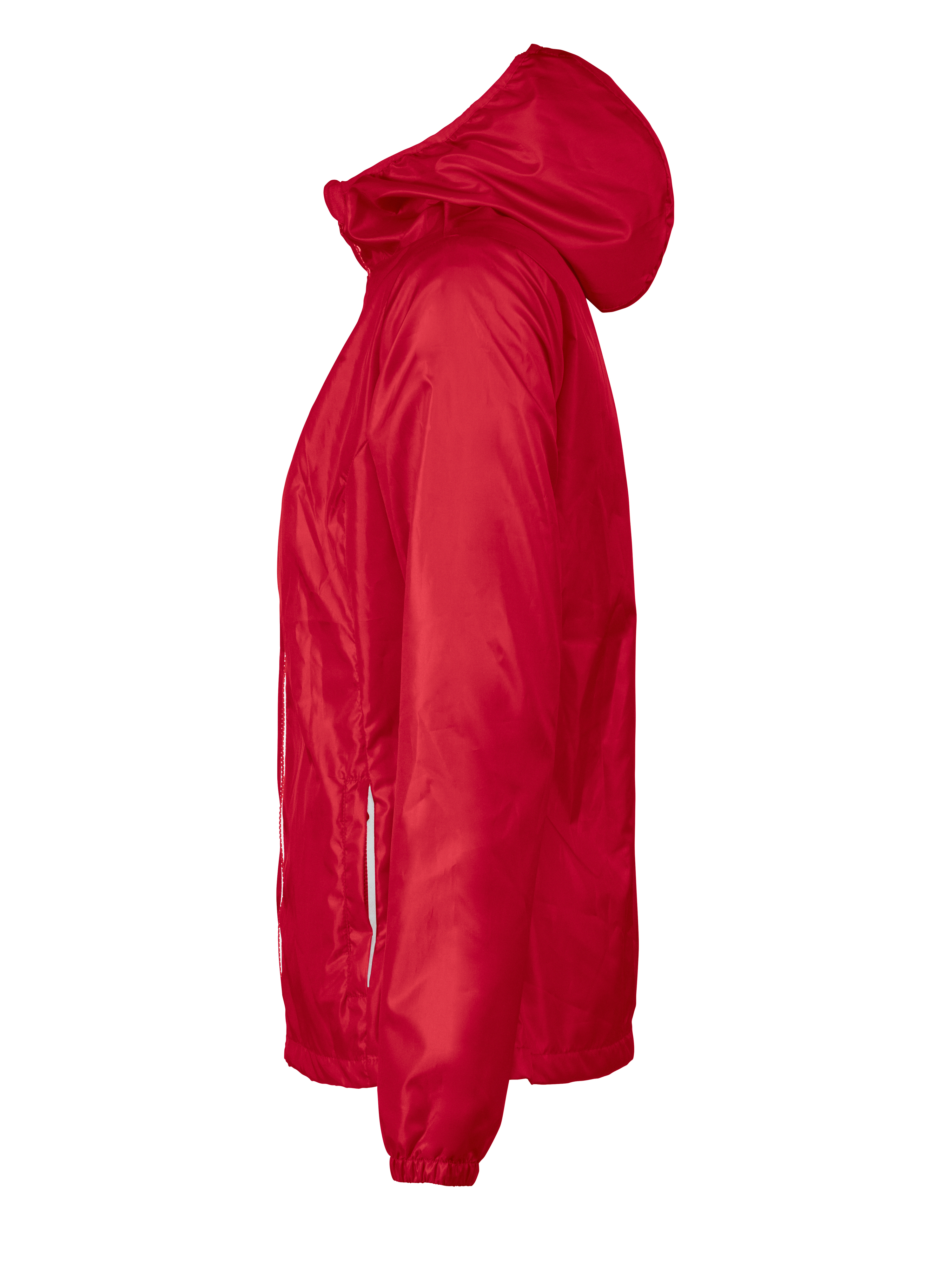 Fastplant Lady - Image 8