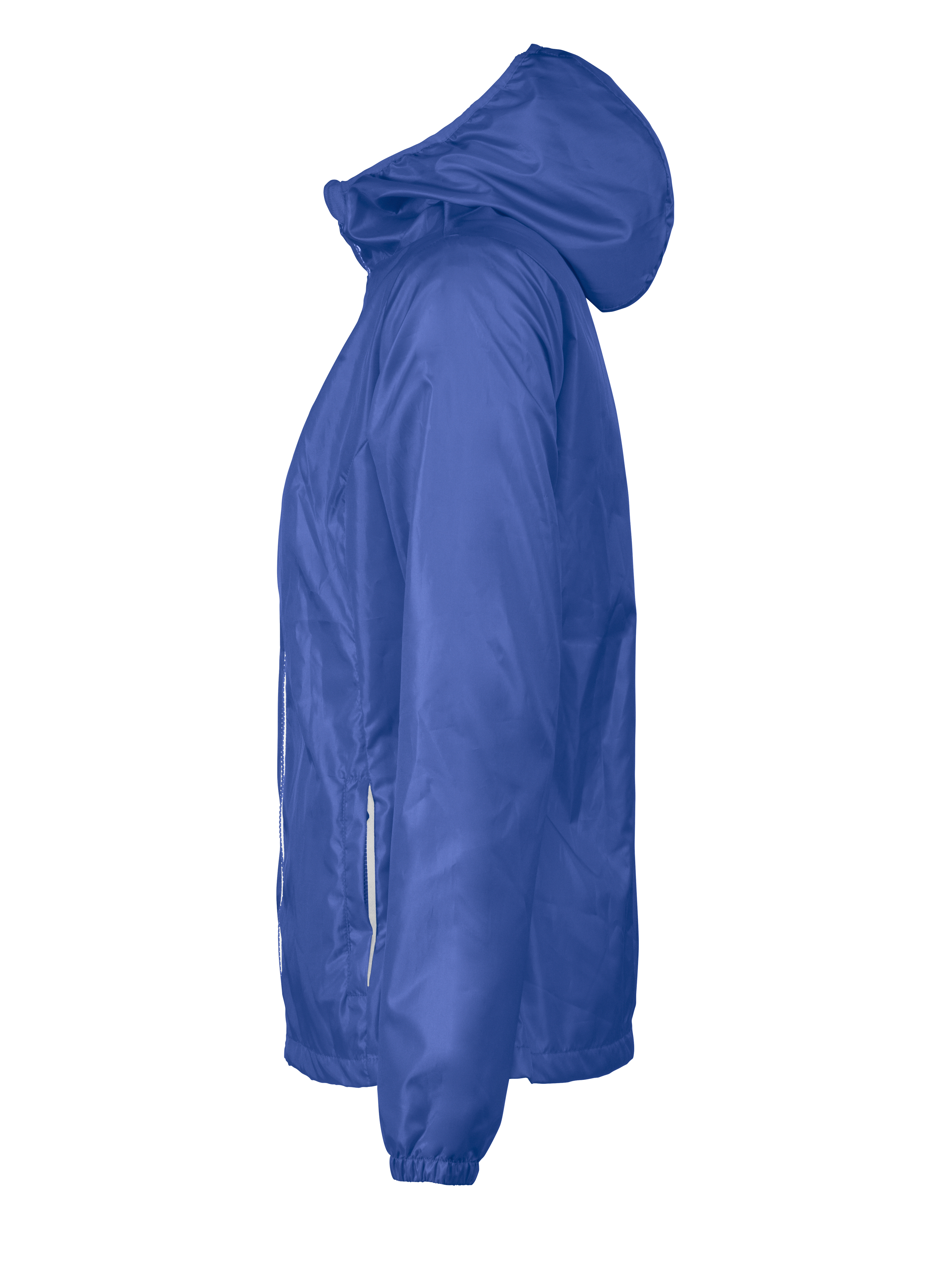 Fastplant Lady - Image 12