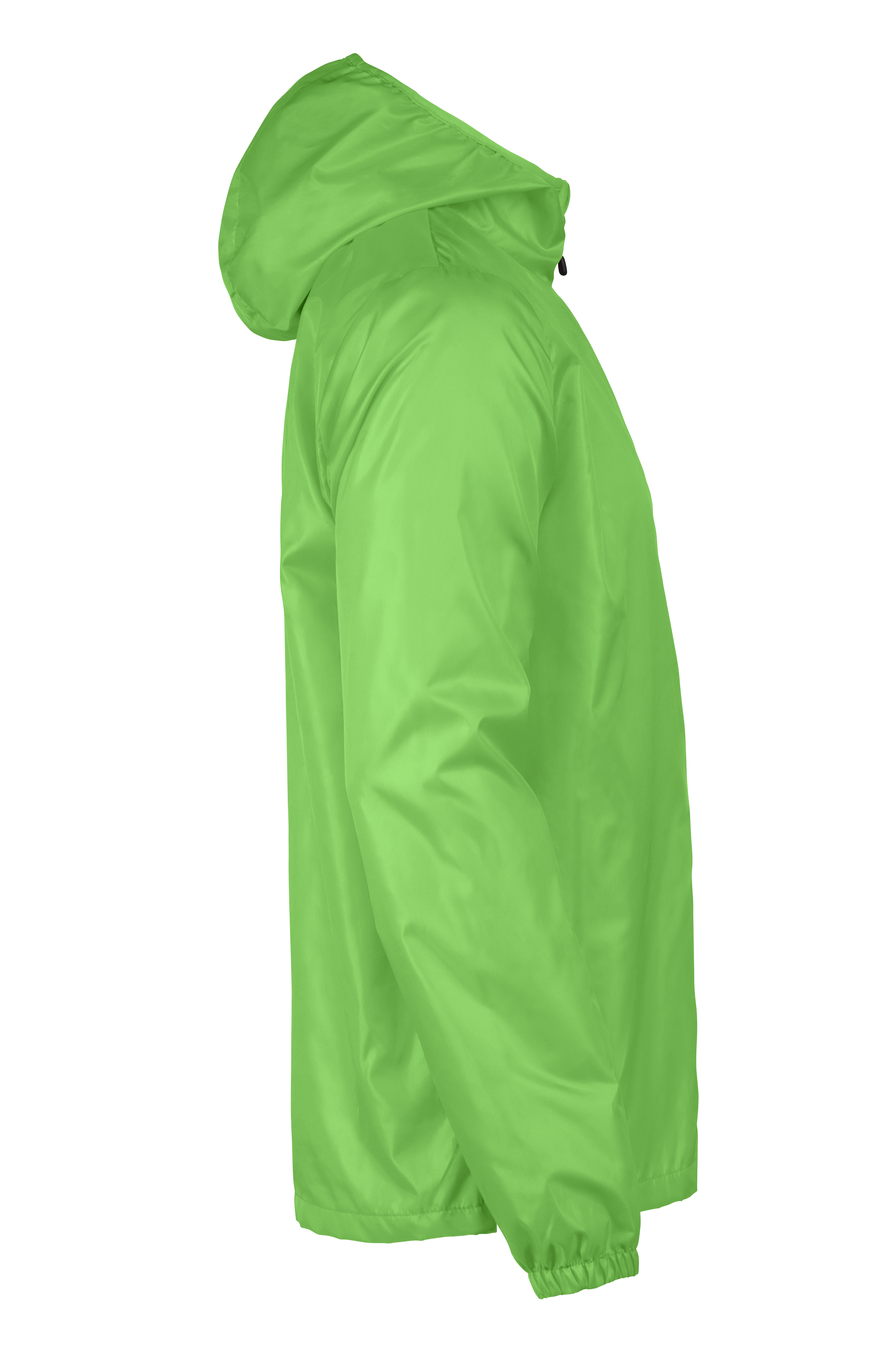 Fastplant - Image 15