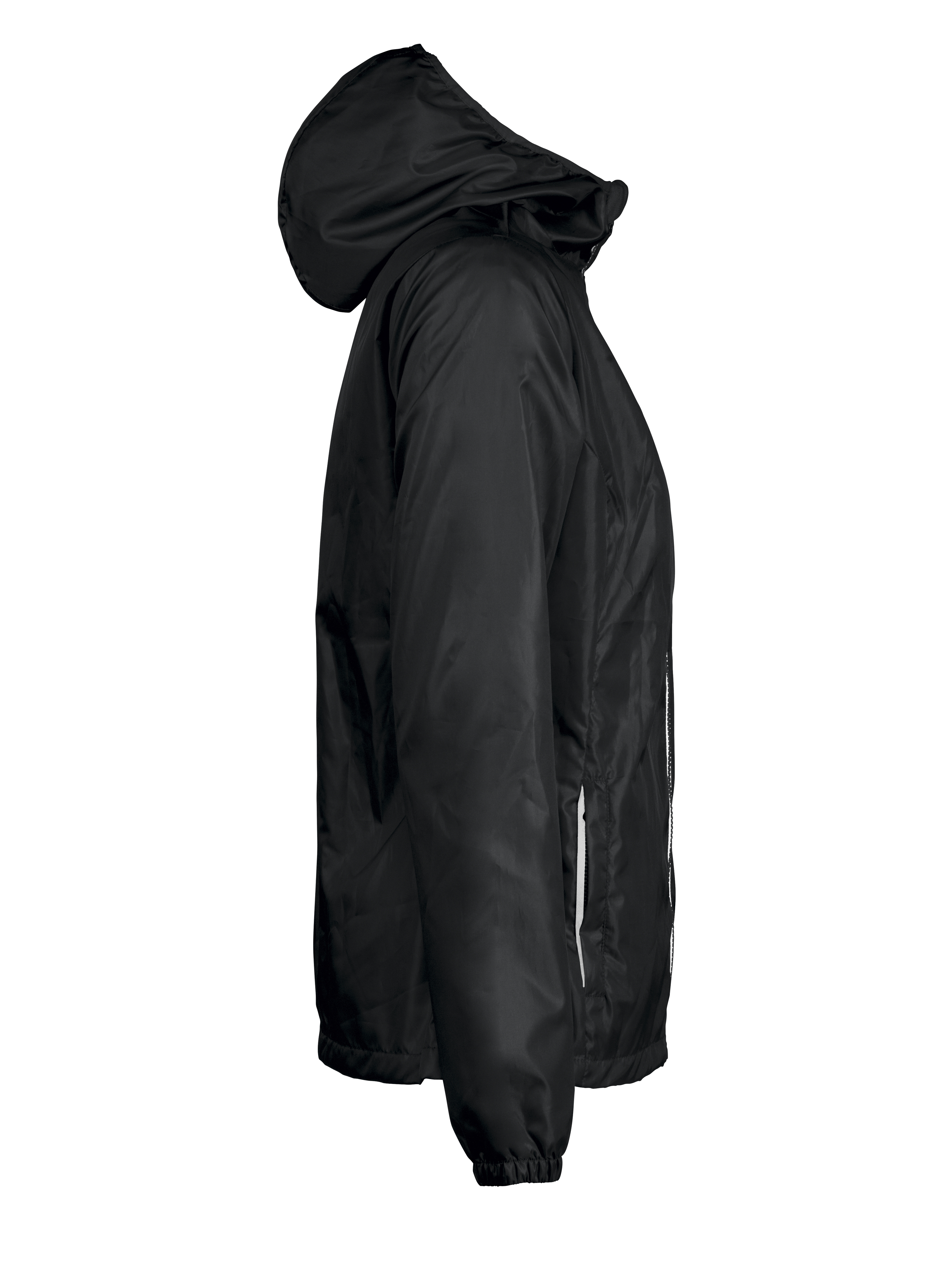Fastplant Lady - Image 17