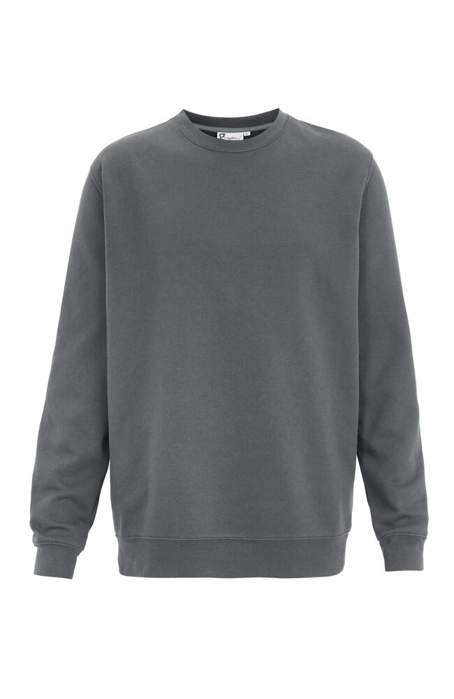 Albany Sweatshirt från Graphix i Stålgrå