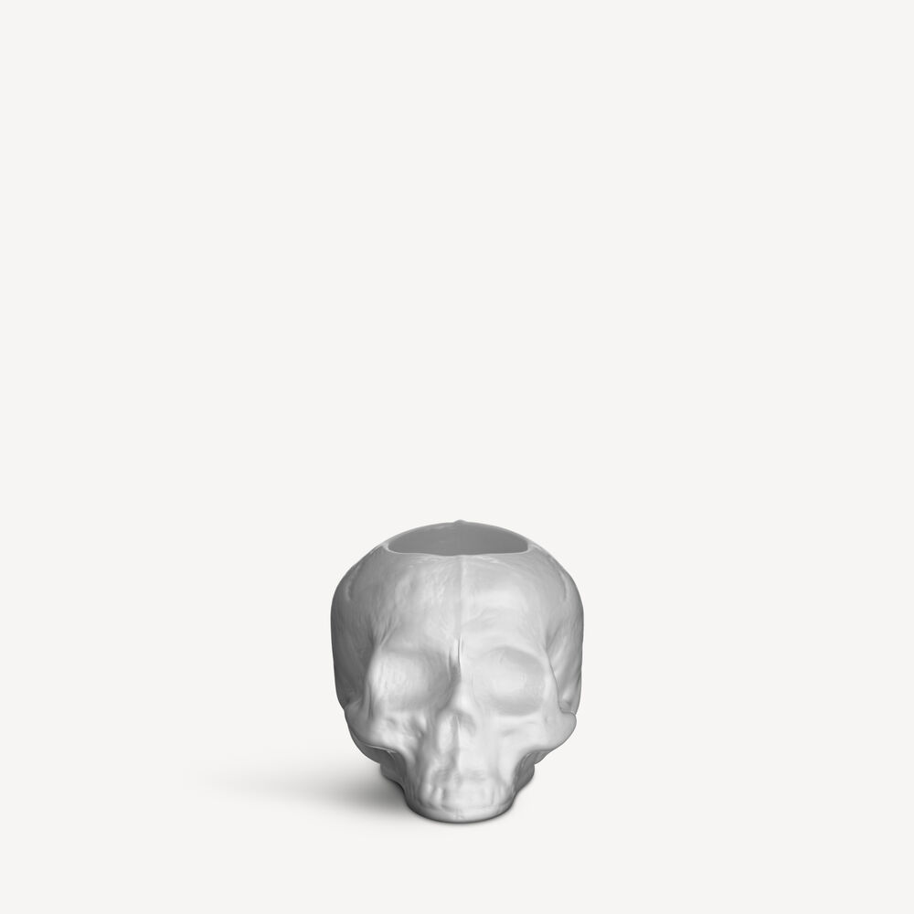 Still Life Skull  Off Vit Votive D 115Mm