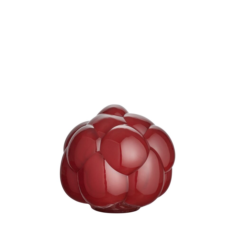 EEÅ Berry Tales Rubin AC-21 4