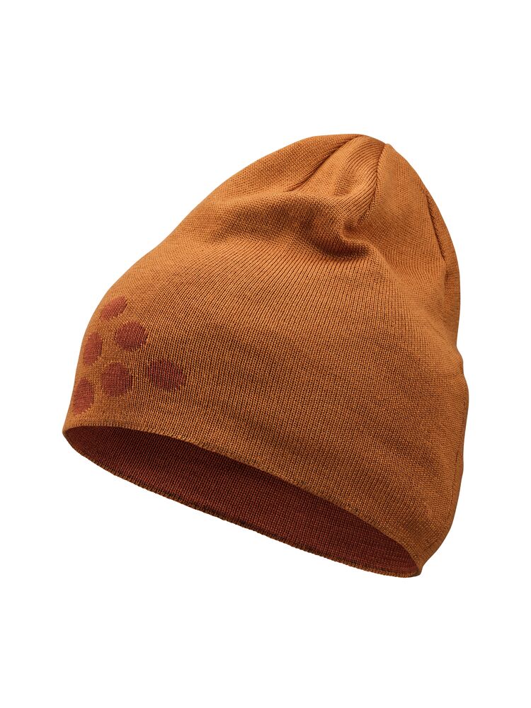 ADV Nordic Training Merino Logo Hat från Craft