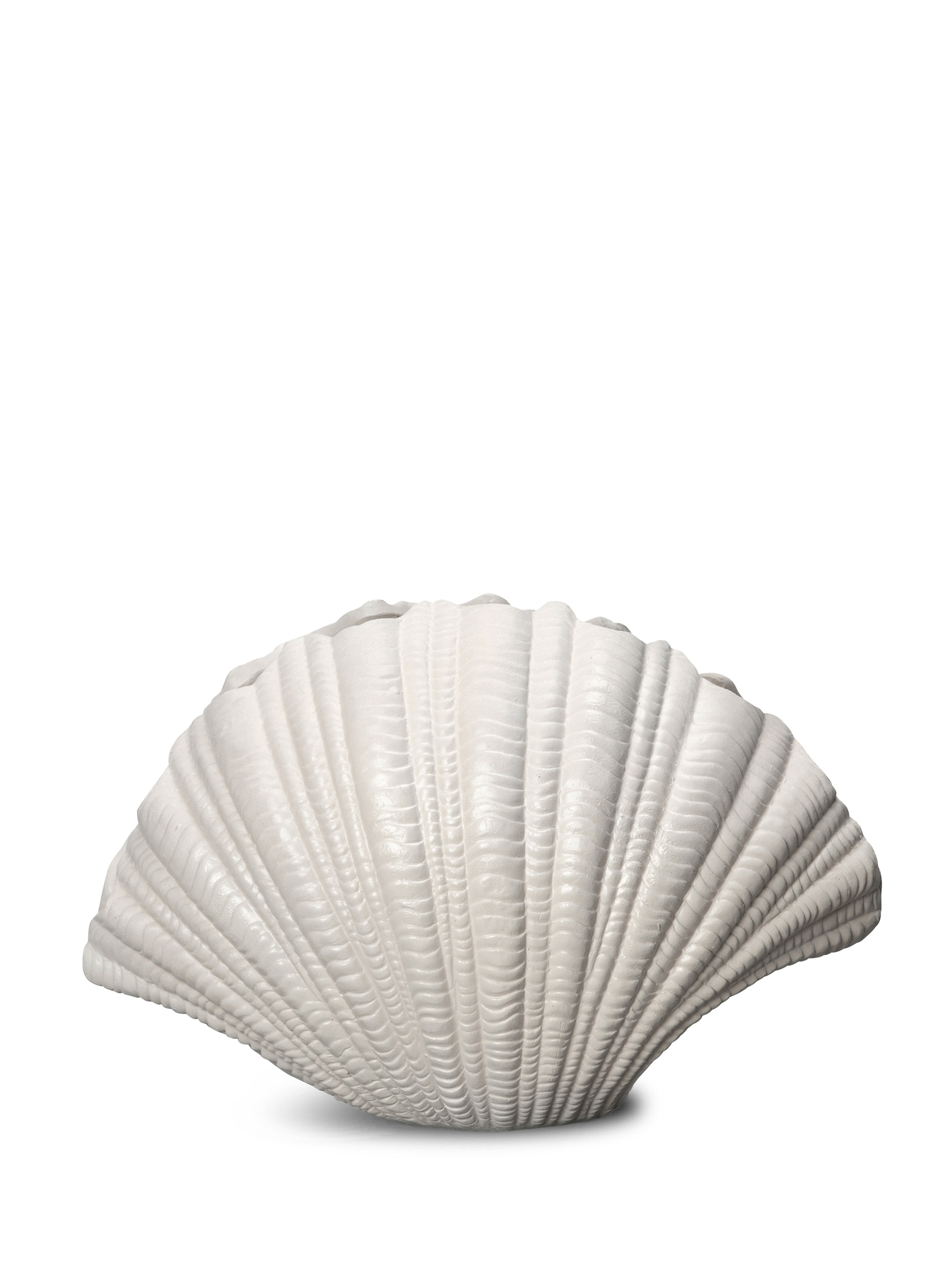 Vase Shell