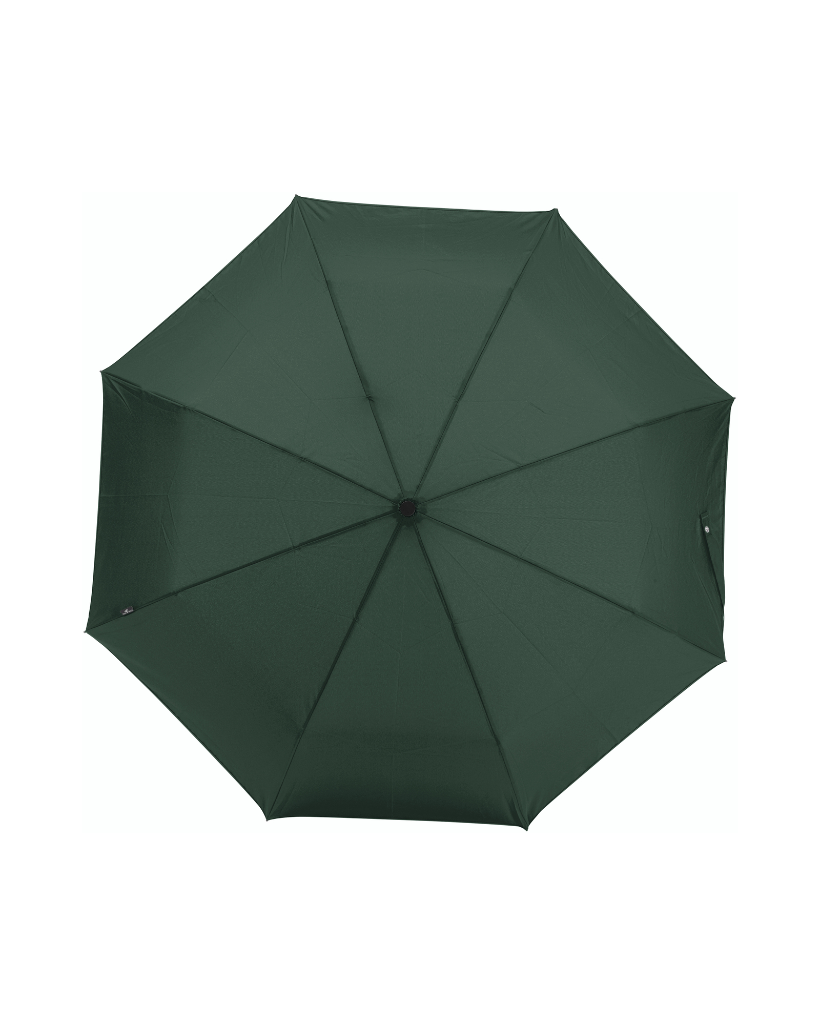 Stratus Umbrella